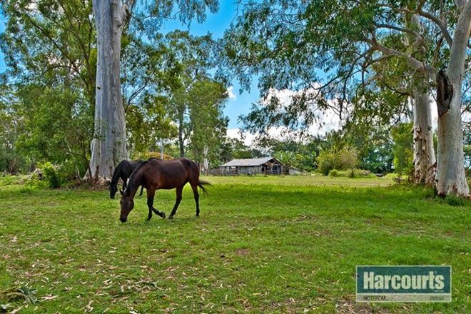 Picture of 200 Donnybrook Road, DONNYBROOK QLD 4510