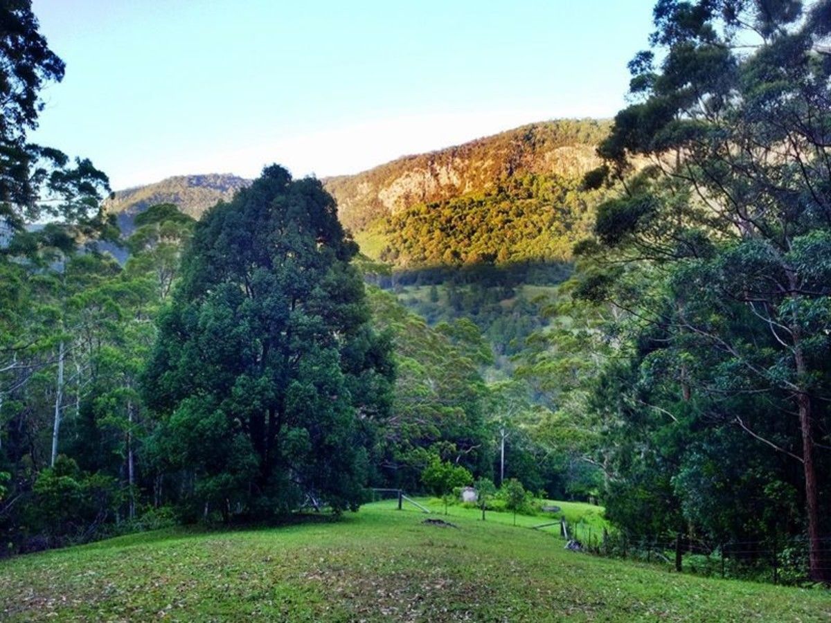 2925 Nerang Murwillumbah Road, Natural Bridge QLD 4211, Image 1