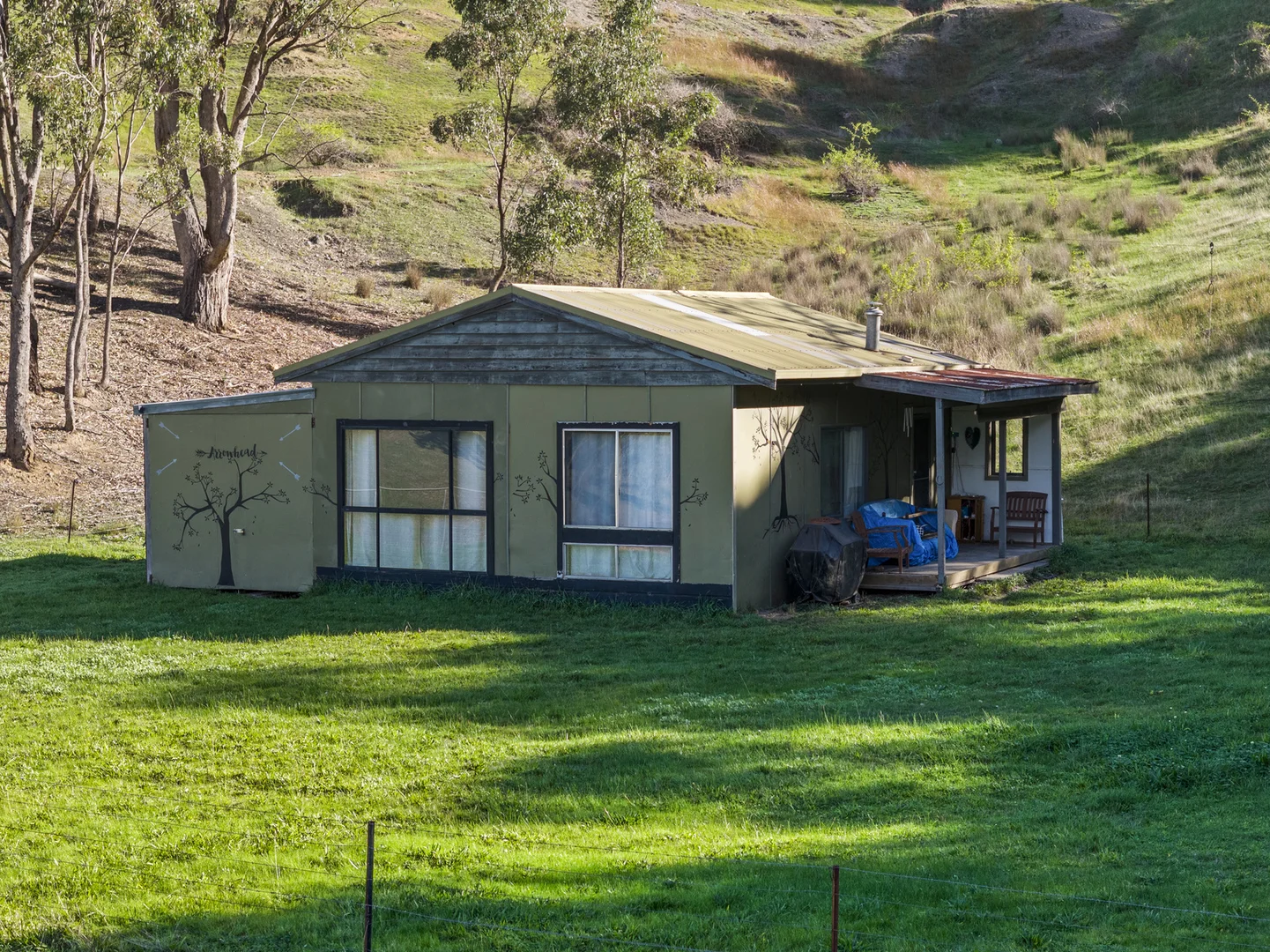 Image 6