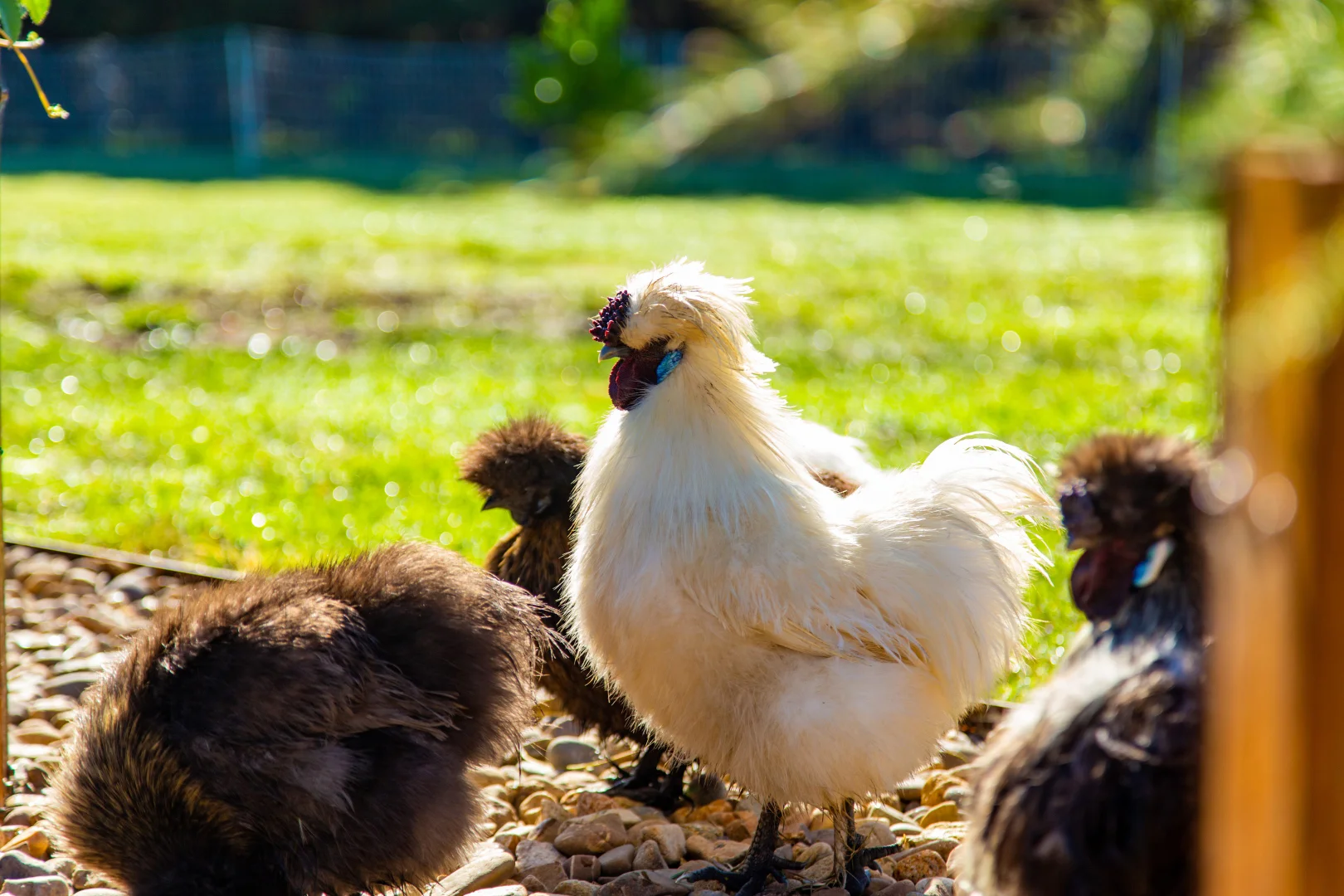 Additional image 26 of 2414 Canyonleigh Road, Canyonleigh NSW 2577