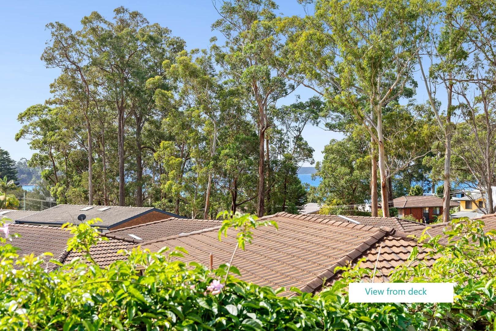 Additional image 5 of 28 Parker Avenue, Surf Beach NSW 2536