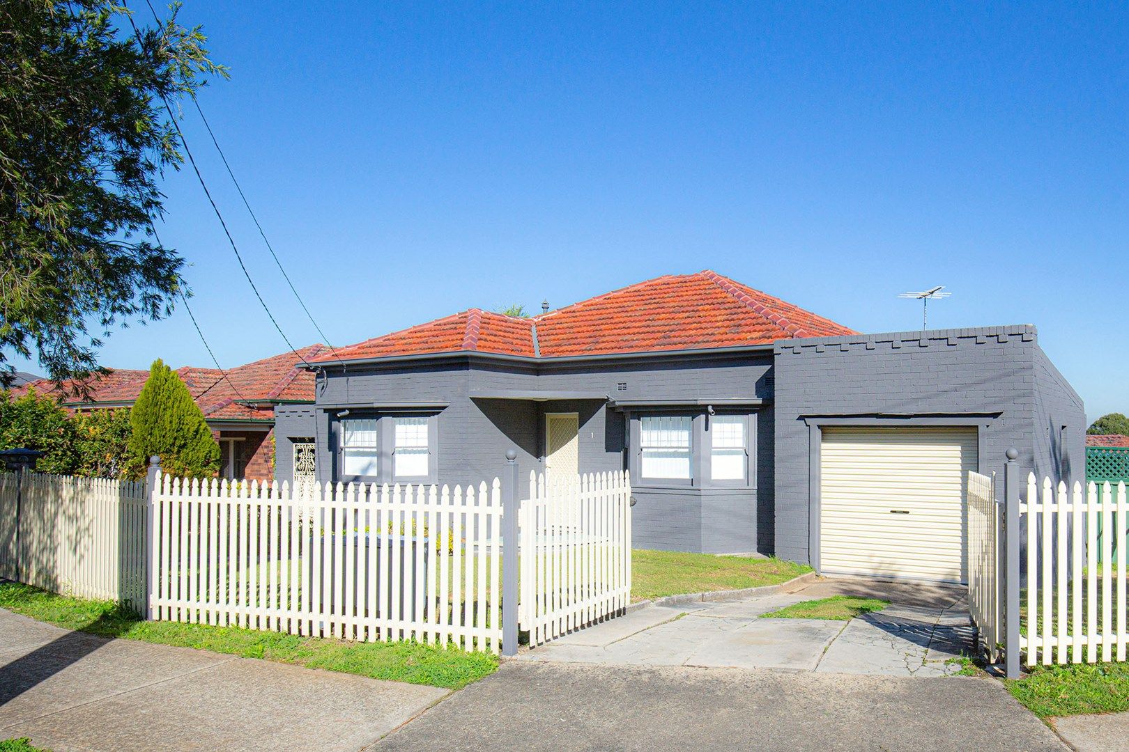 1 Charleston Avenue, Earlwood NSW 2206 House For Rent Domain