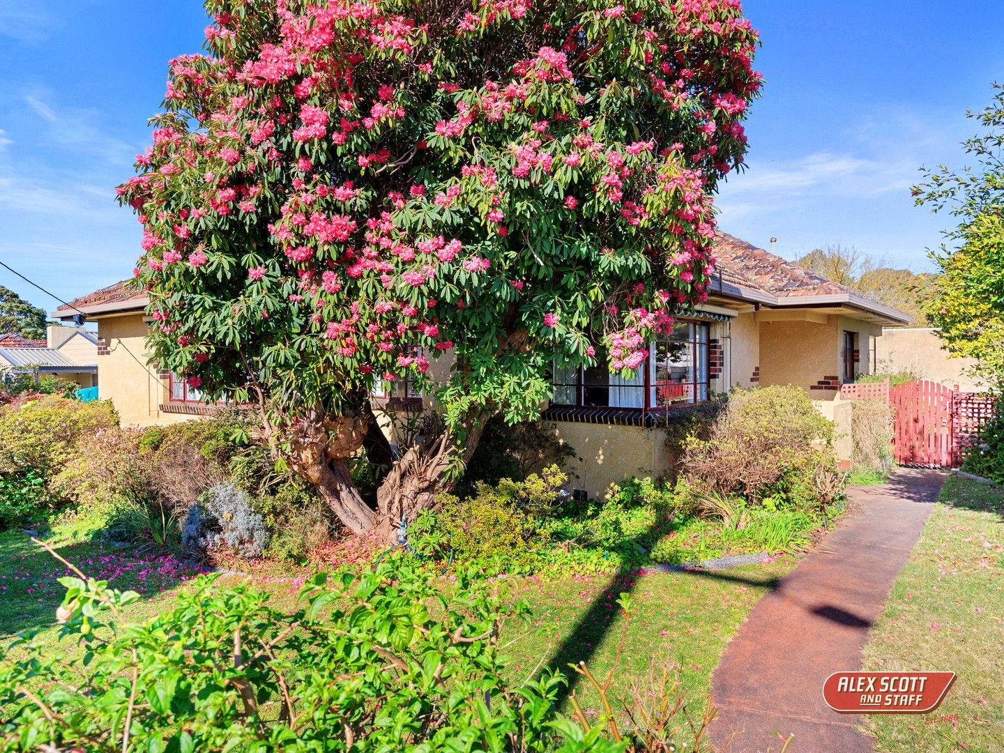 3 bedrooms House in 42 Jeffrey Street LEONGATHA VIC, 3953