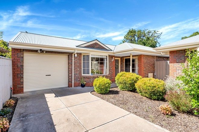 Picture of 3/24 Stanley Street, PLYMPTON SA 5038