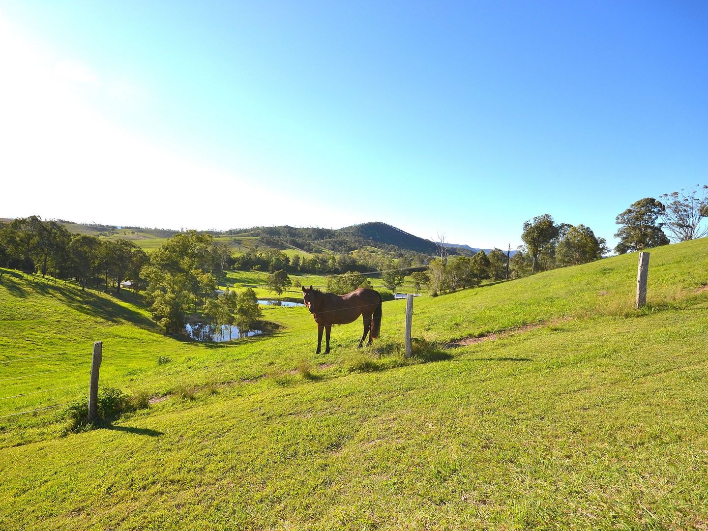 342 Mount Kilcoy Road, Mount Kilcoy QLD 4515, Image 2