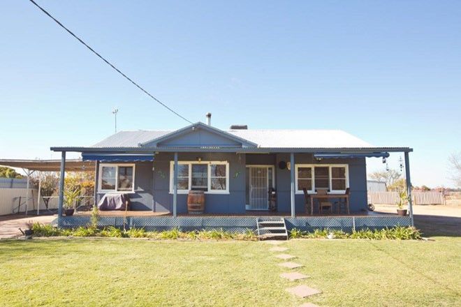 Picture of 76 Conapaira Street, WHITTON NSW 2705