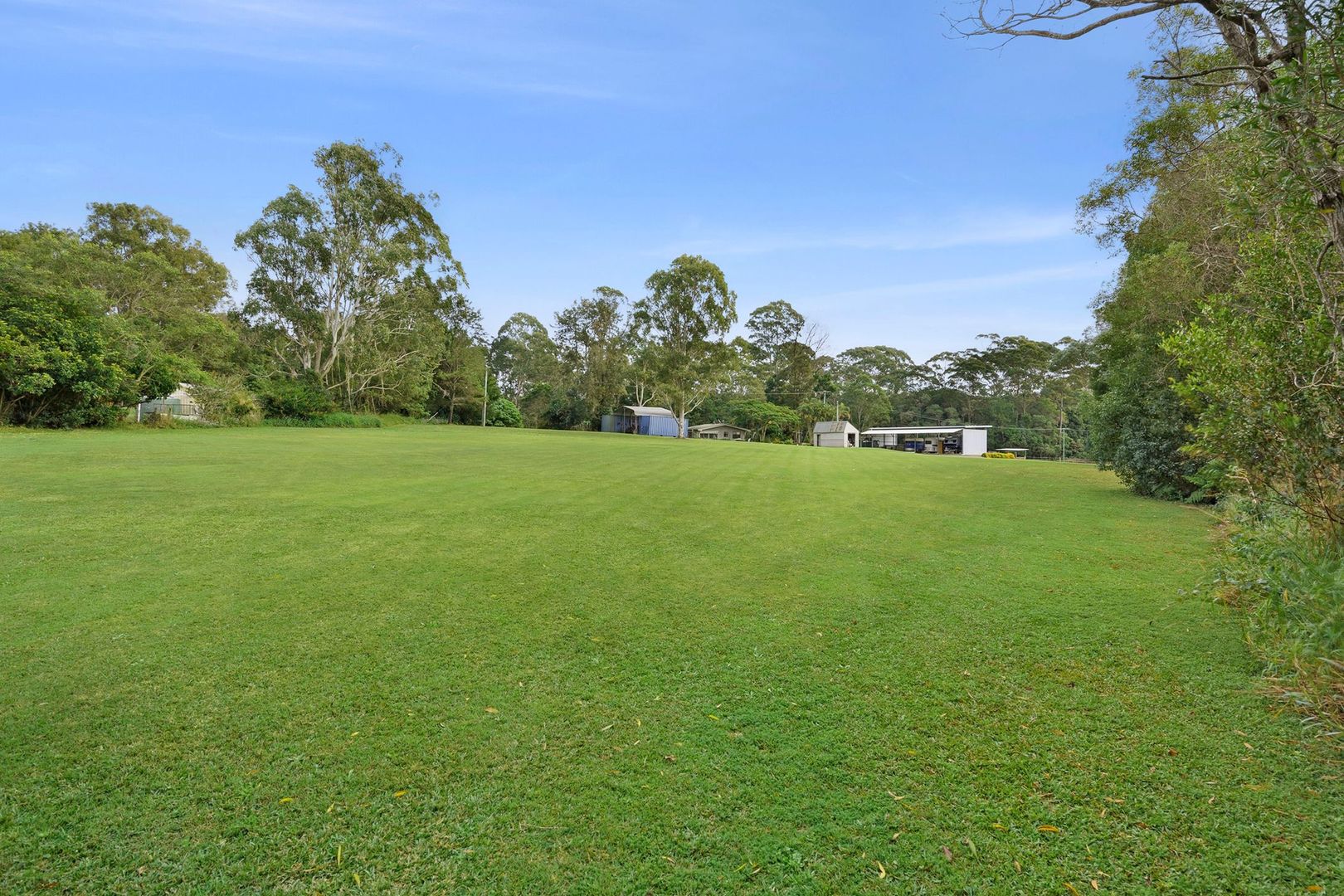 23 Nandroya Road, Cooroy QLD 4563 House for Sale Domain