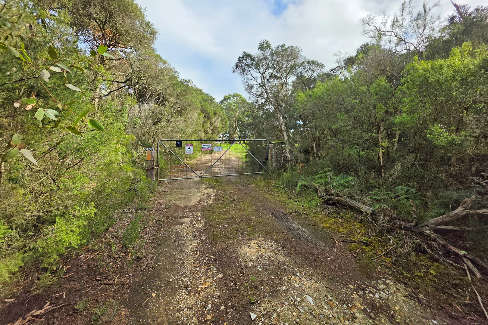 Image 6