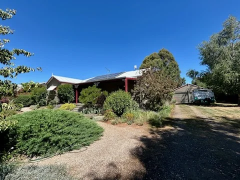 Image 15