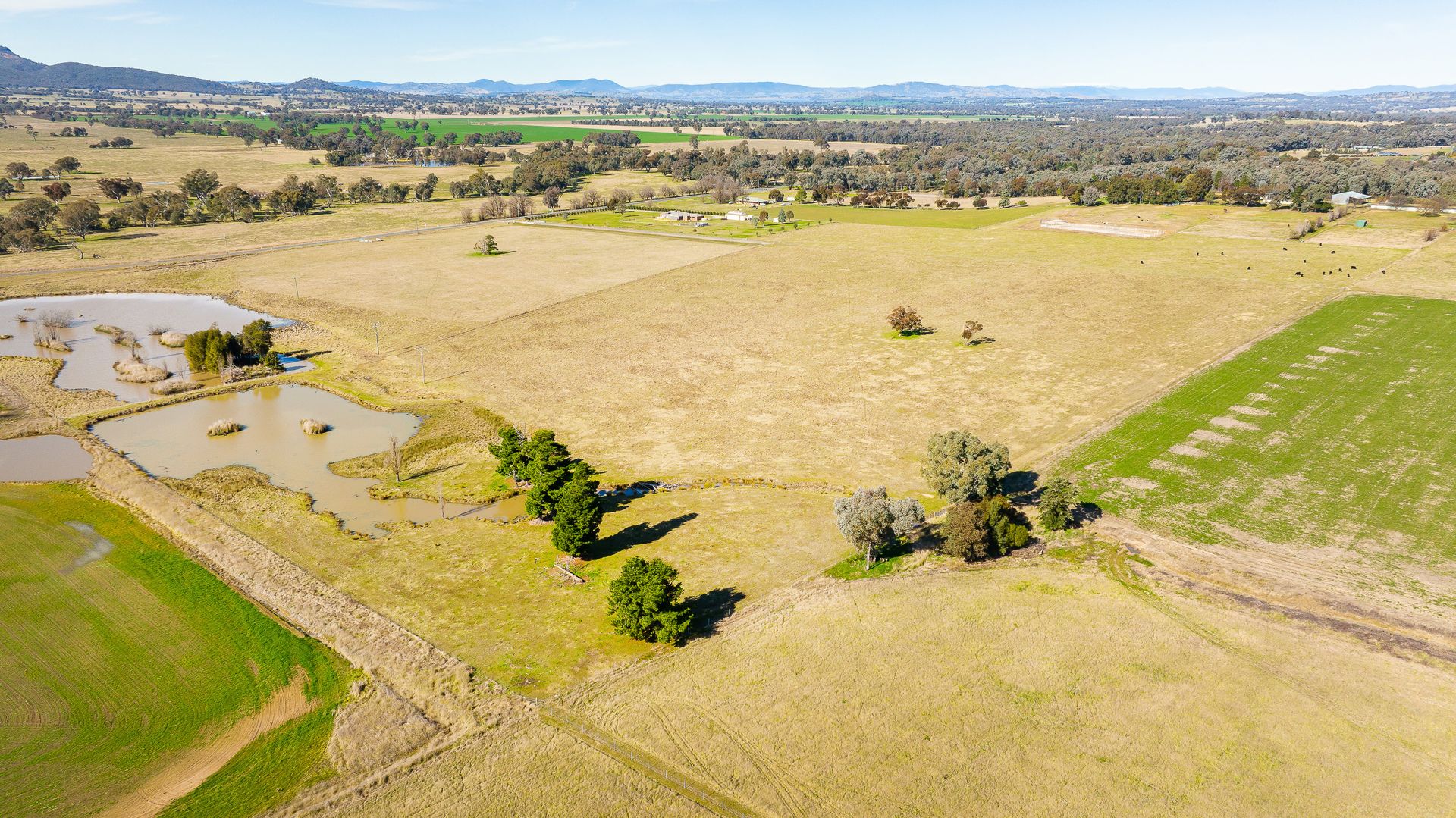 1809 Gerogery Road, Gerogery NSW 2642 Vacant Land for Sale Domain