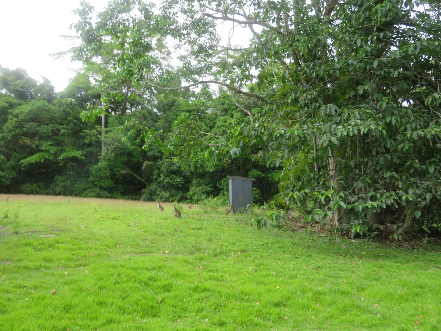 Image 21