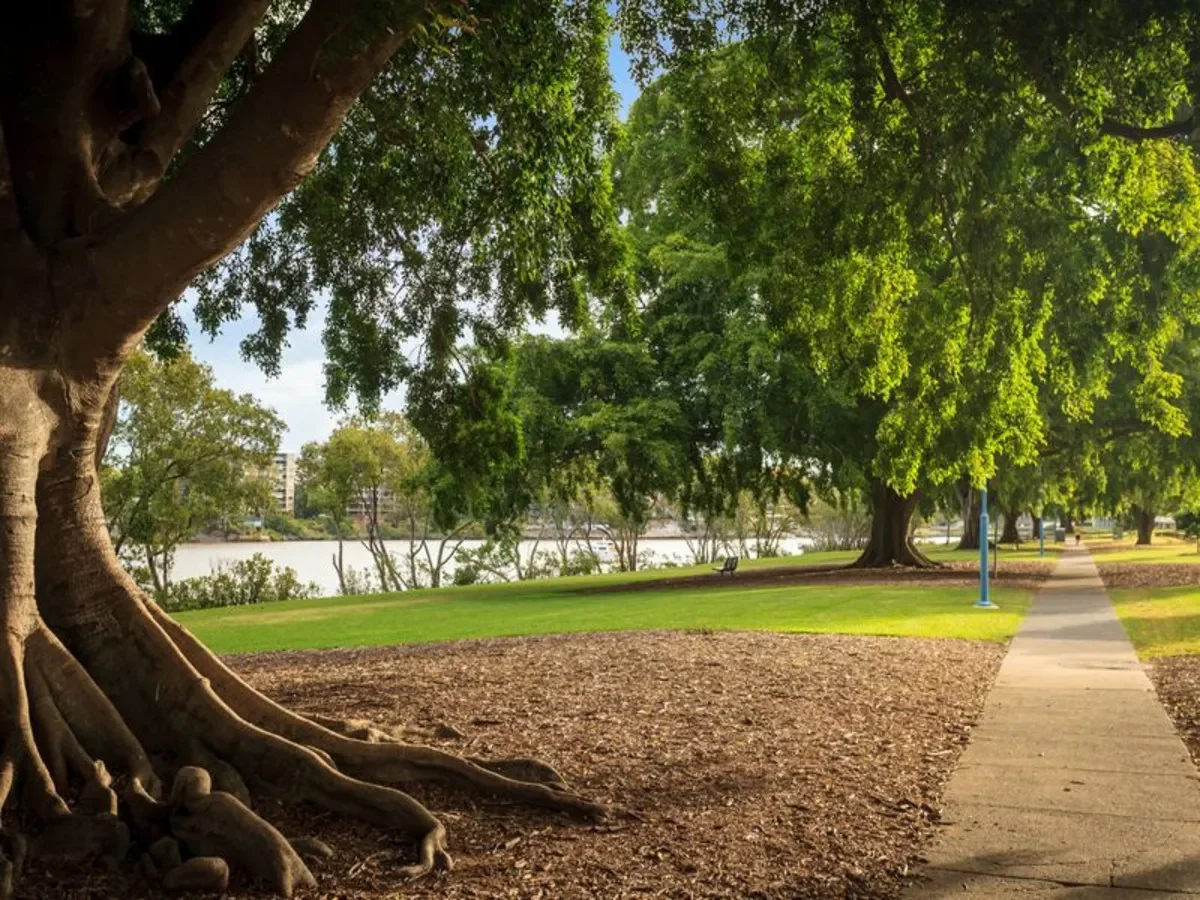 Additional image 26 of 37 Orleigh Street, West End QLD 4101