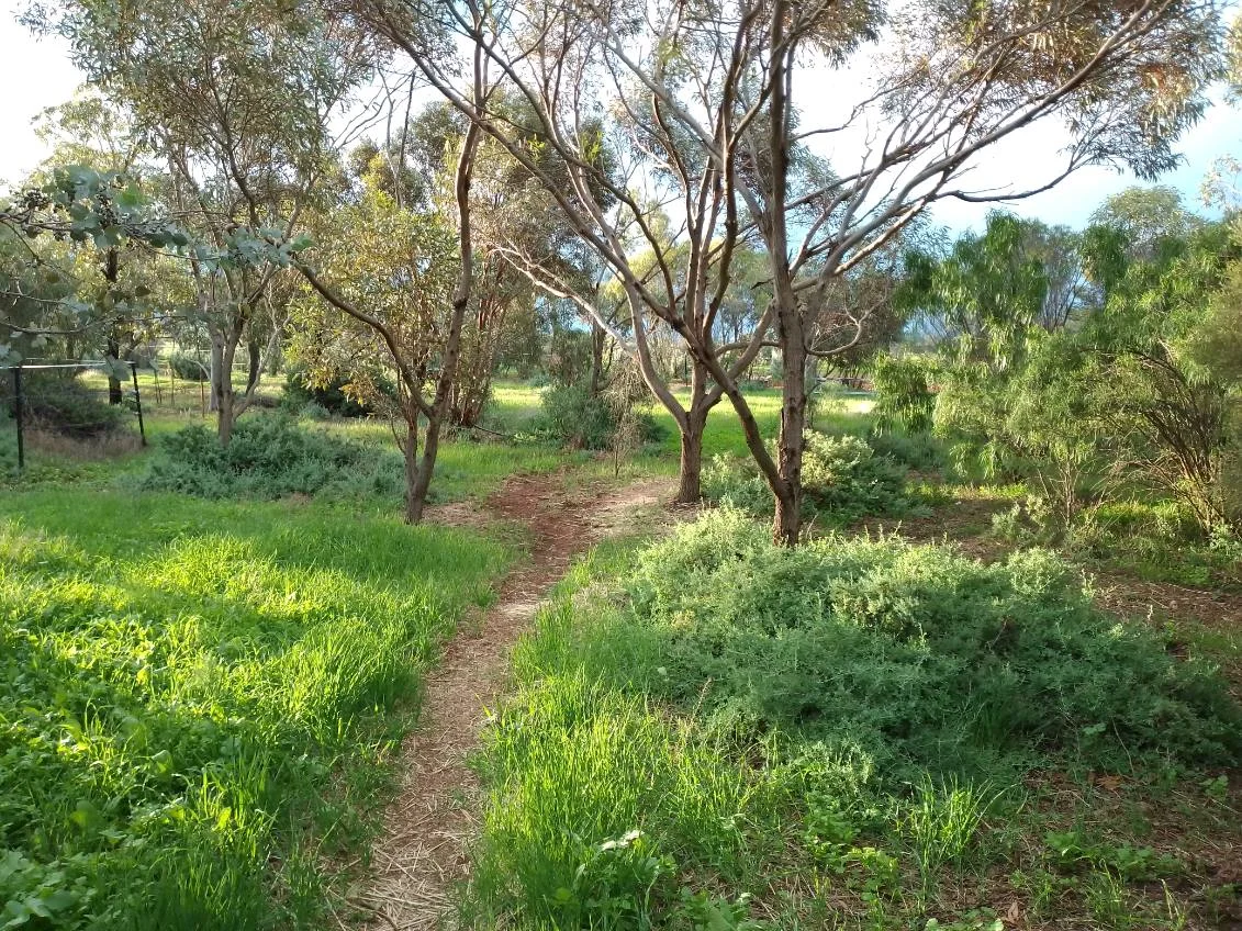 Additional image 32 of 68 Freebairn Road, Quorn SA 5433