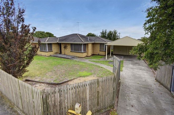 Picture of 49 St Albans Street, ST ALBANS PARK VIC 3219
