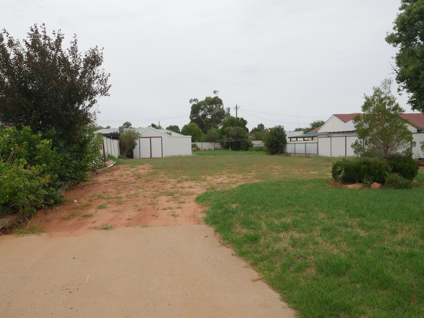 3 Beech St, Leeton NSW 2705, Image 0