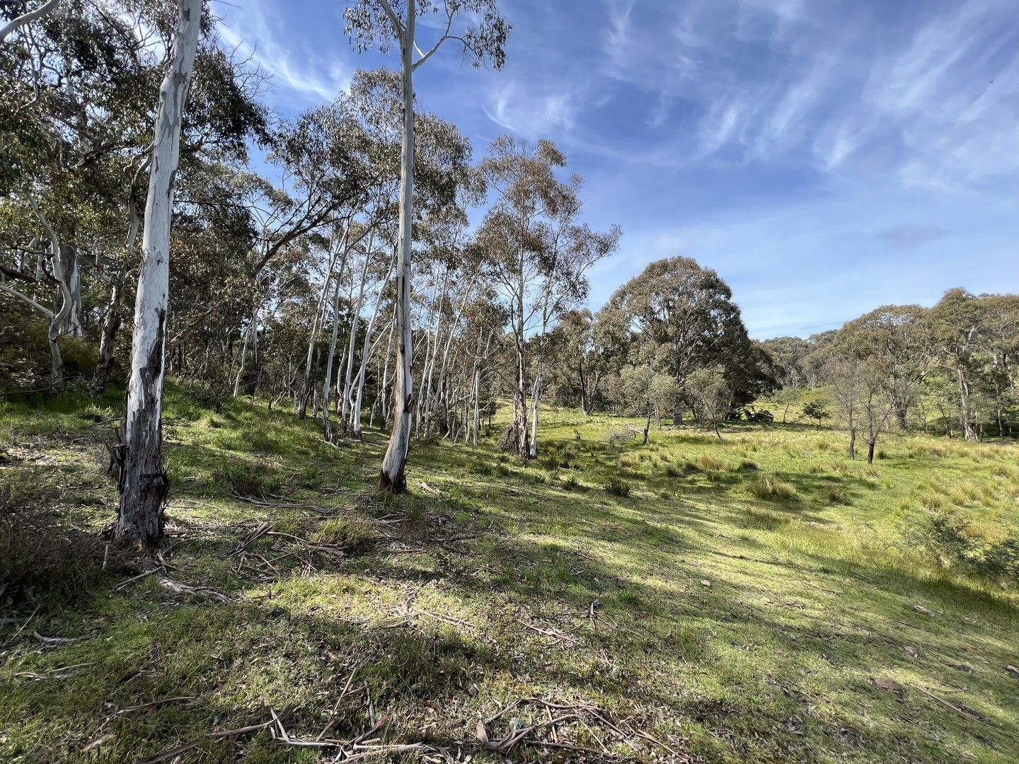 143, 6875 Taralga Road, Curraweela NSW 2580, Image 0