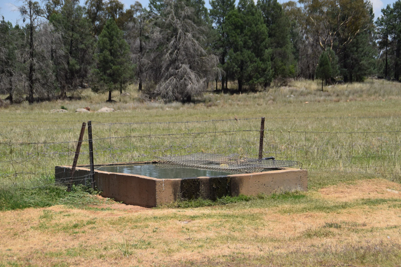 Image 18
