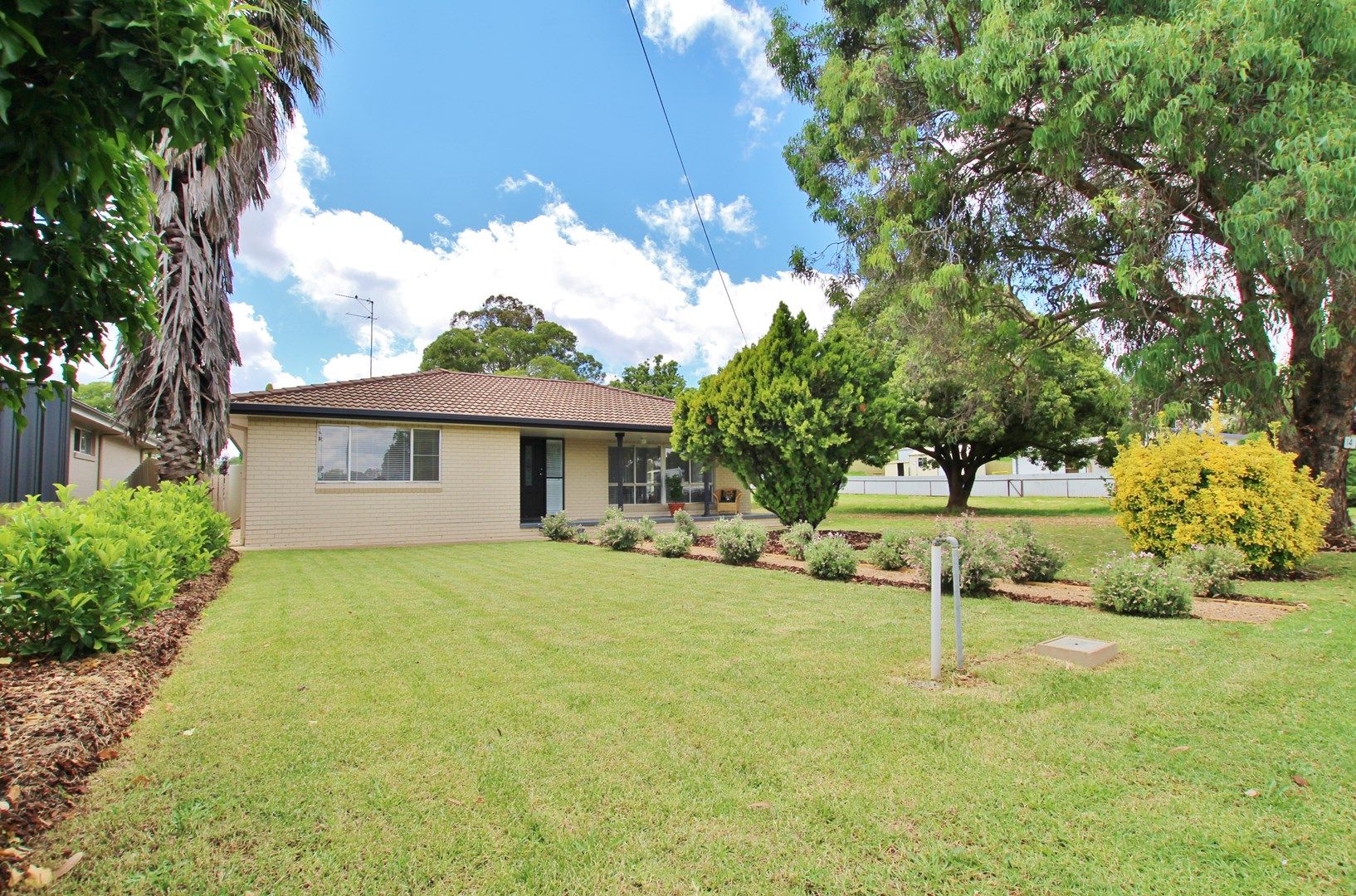 14 Briggs Street, Young NSW 2594, Image 0