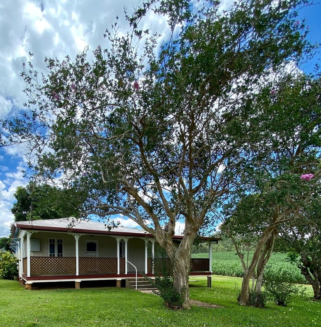86 Argents Road, Finch Hatton QLD 4756 House For Rent Domain