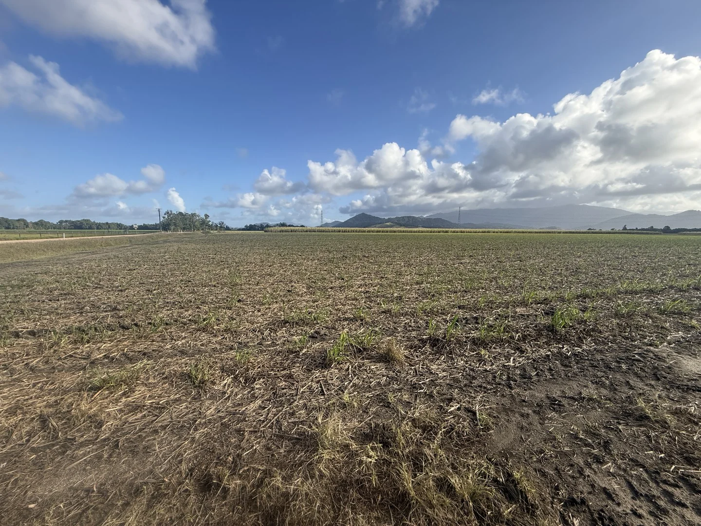 Silkwood QLD 4856