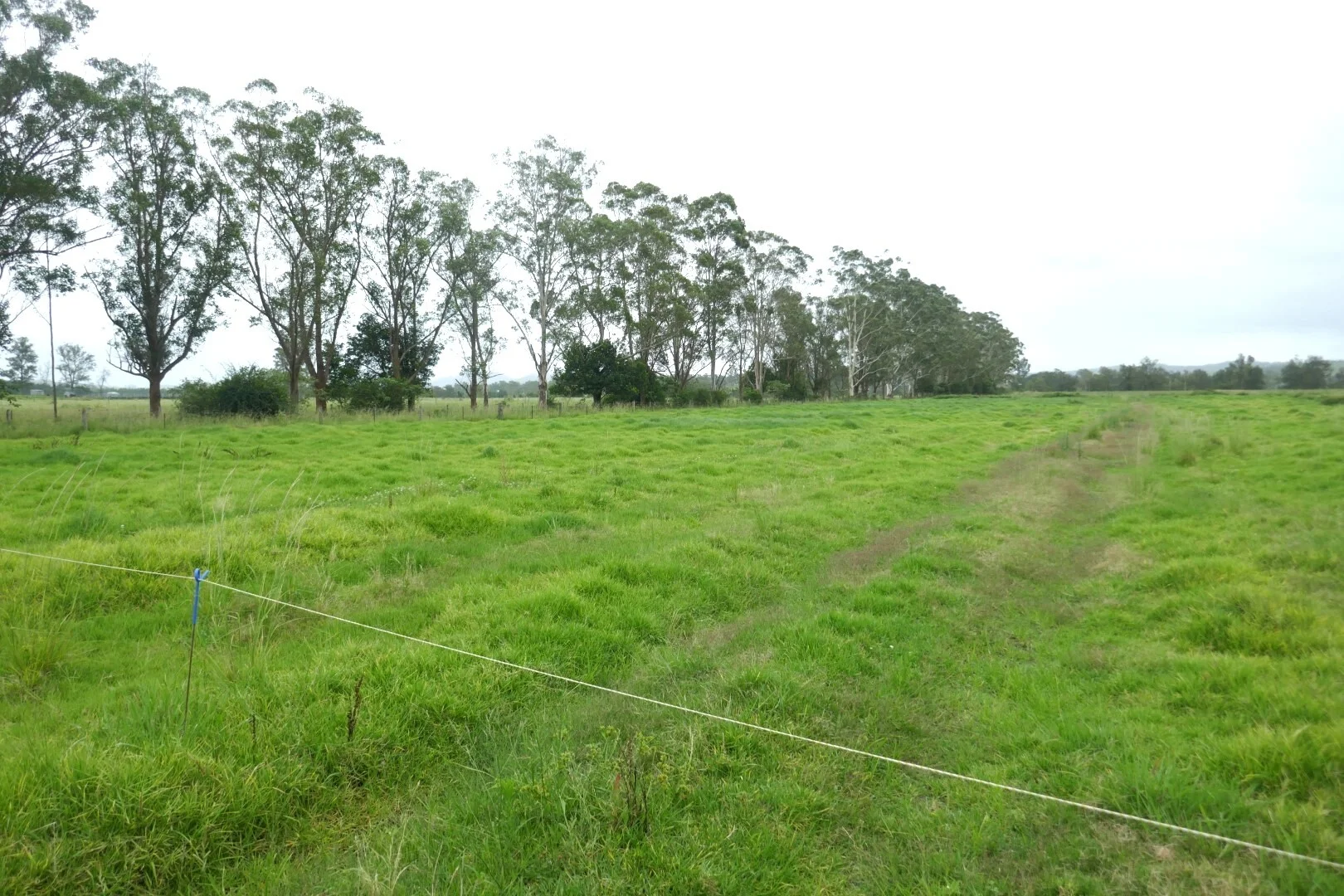 Image 32