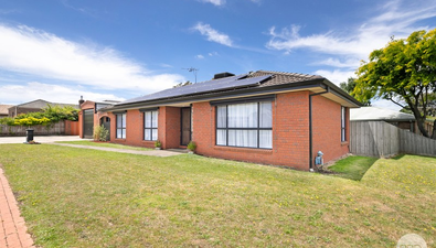 Picture of 4 Omeo Drive, ALFREDTON VIC 3350