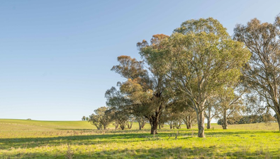 Picture of Lot/5 Cattle Street, BINALONG NSW 2584