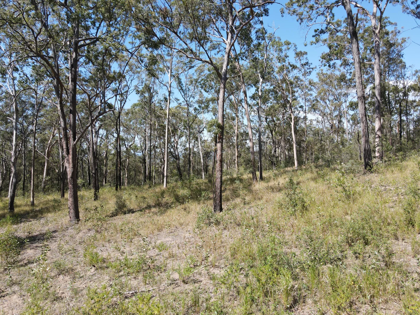 Image 14