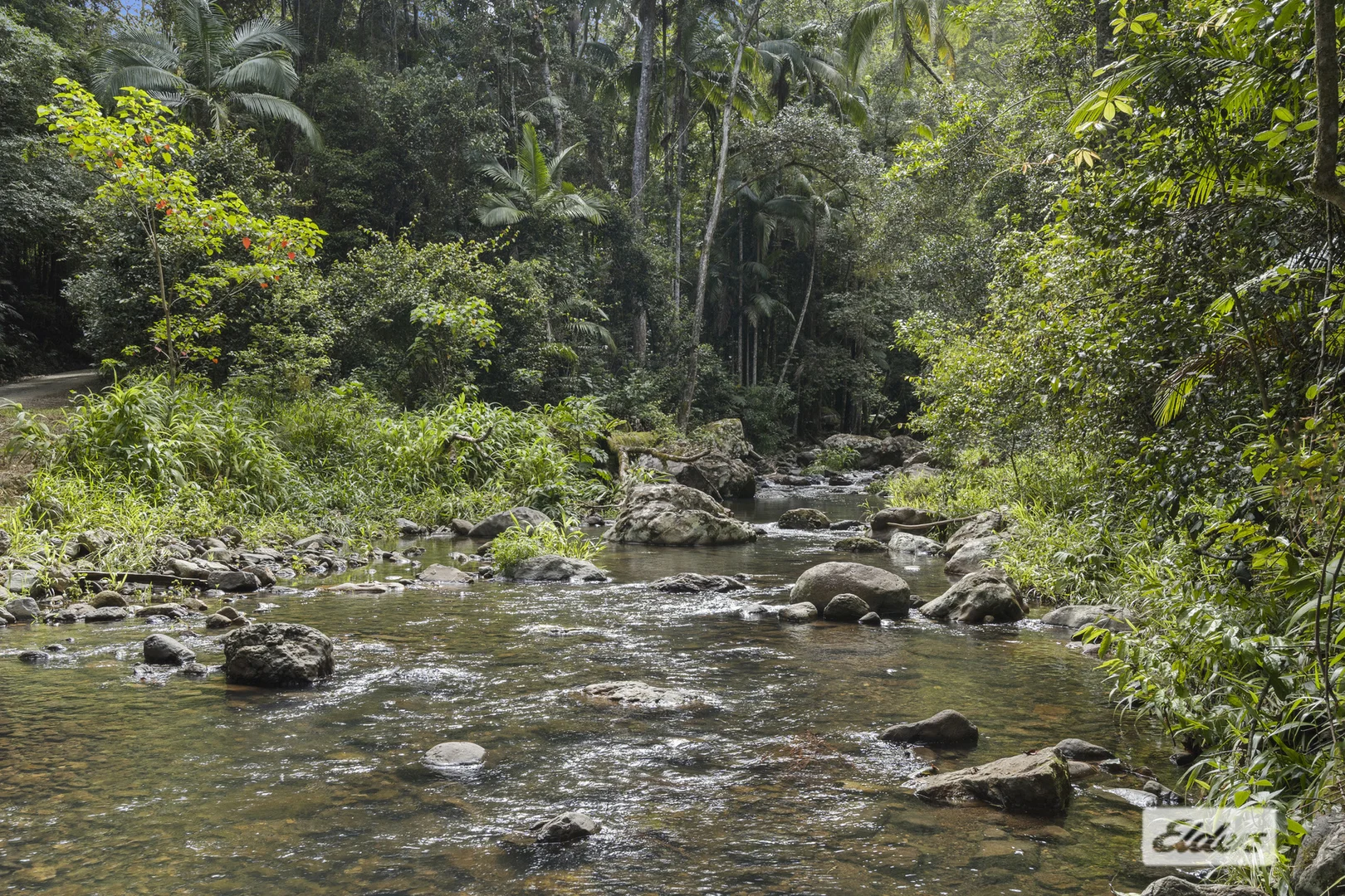 Additional image 5 of 374 Couchy Creek Road, Numinbah NSW 2484