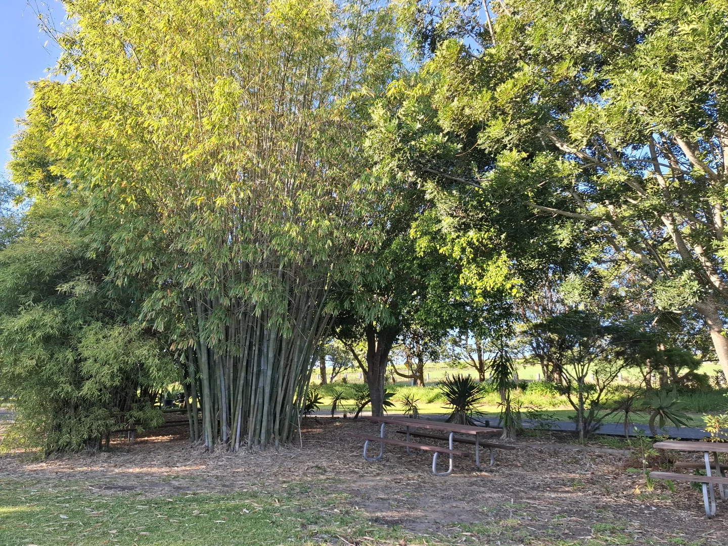 Image 11