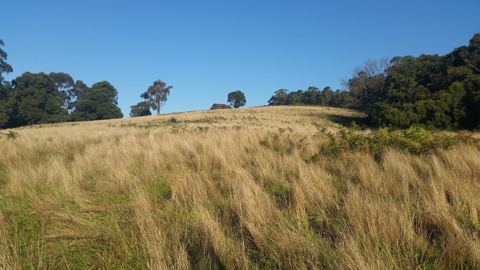 Lot 1, 21 INGLEMAN ROAD, BULN BULN EAST VIC 3821, Image 2