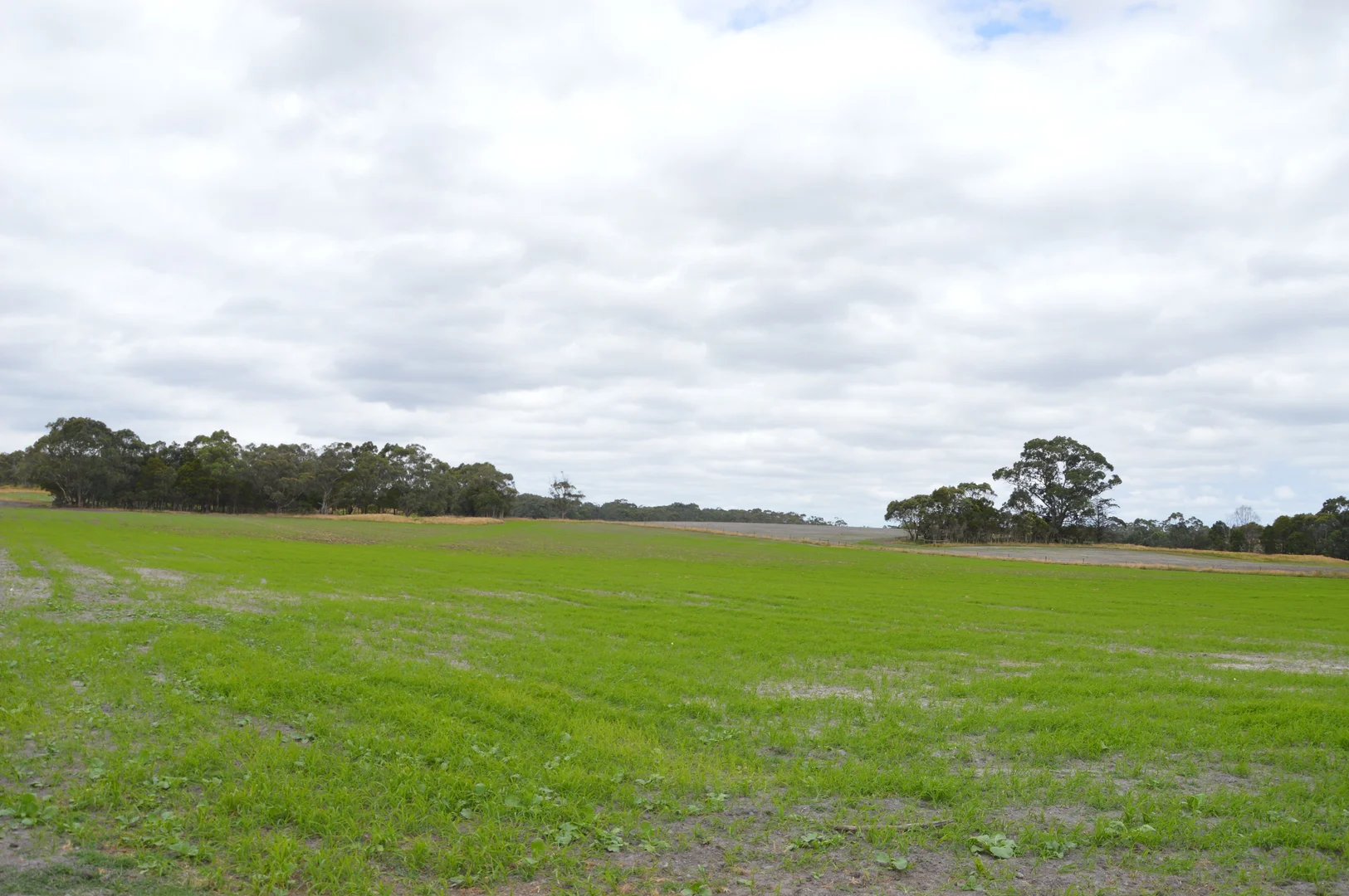 Image 10