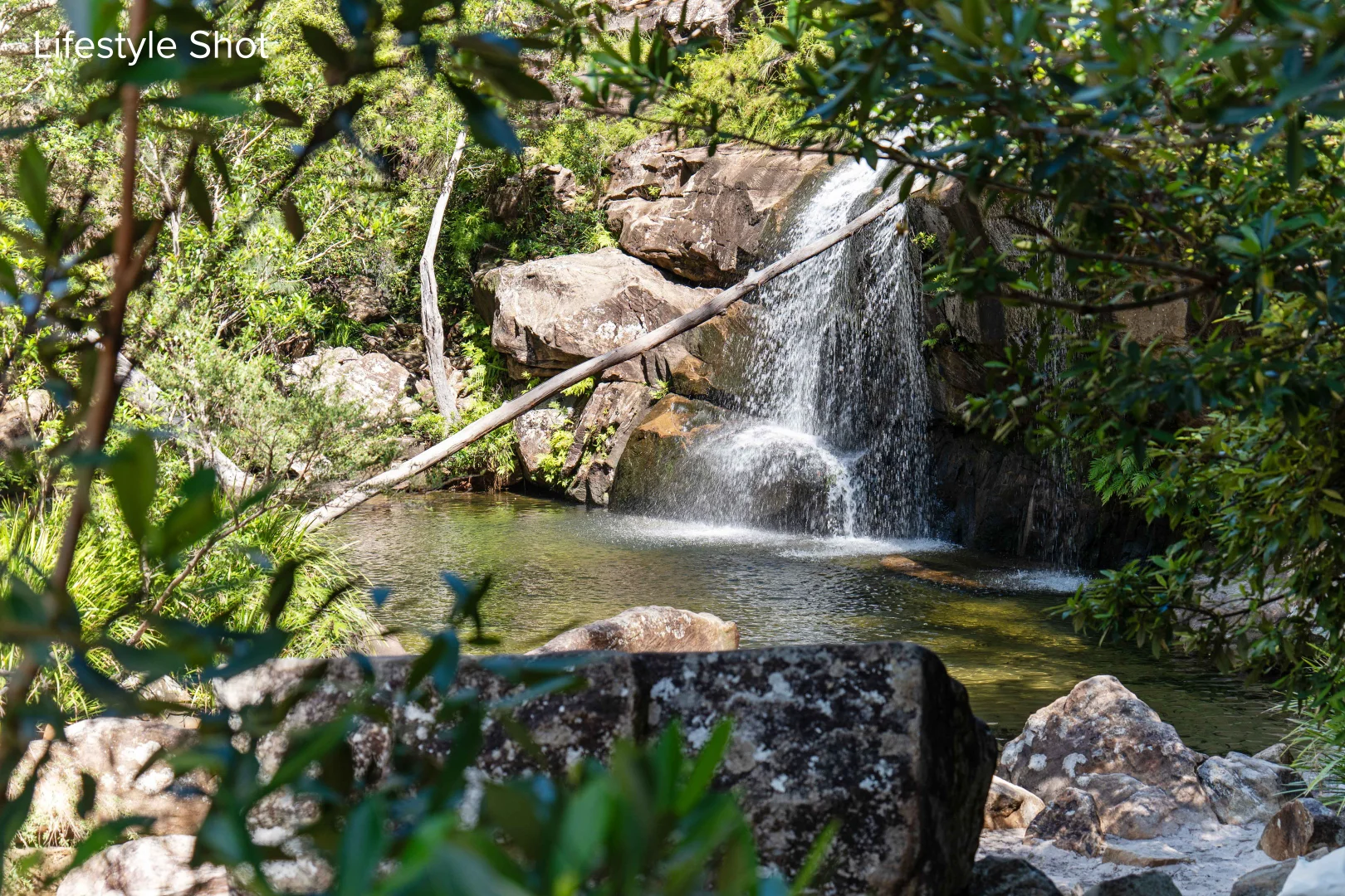 Image 11