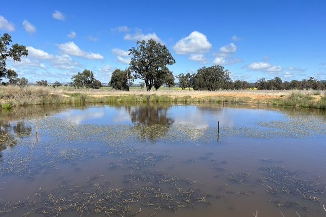 Picture of 14317 Golden Highway, LEADVILLE NSW 2844