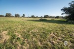 Image 14