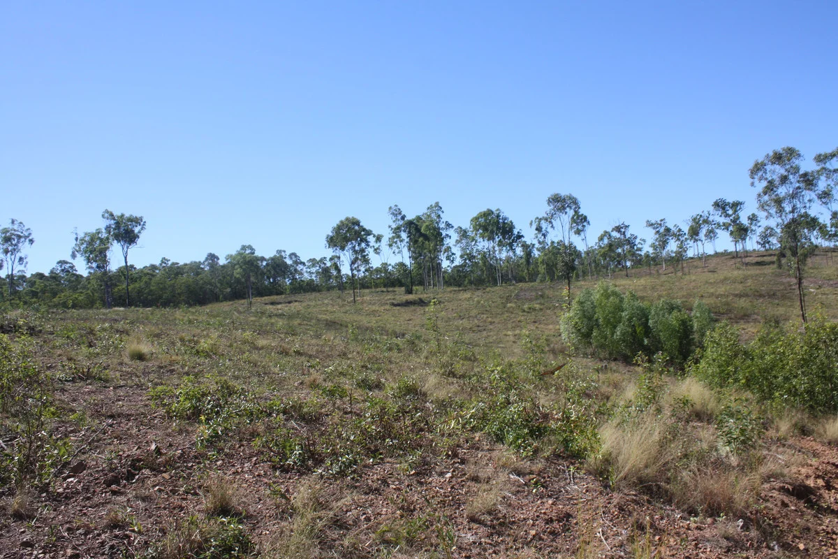 Image 39