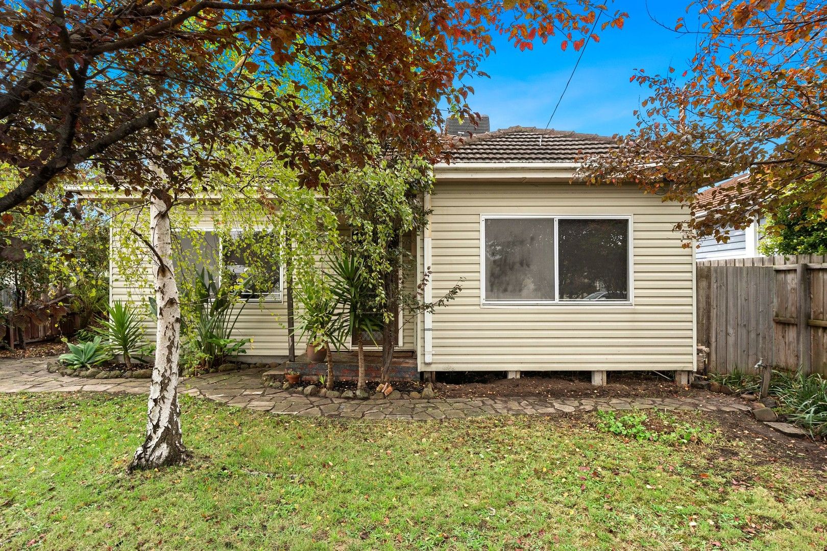 8 Finchaven Street, Herne Hill VIC 3218, Image 0