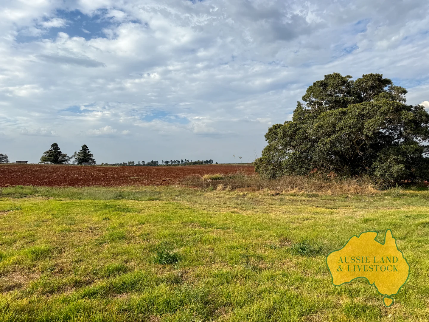 Additional image 36 of 716 Reedy Creek Road, Benair QLD 4610