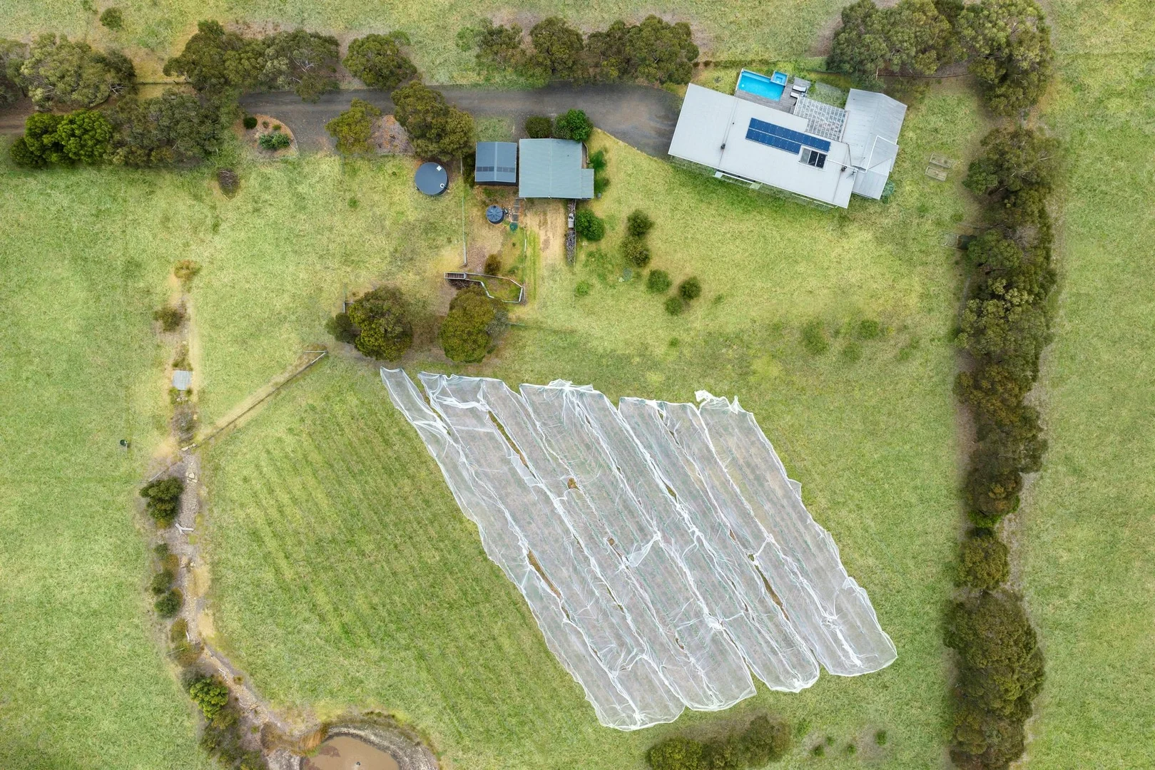 Image 22