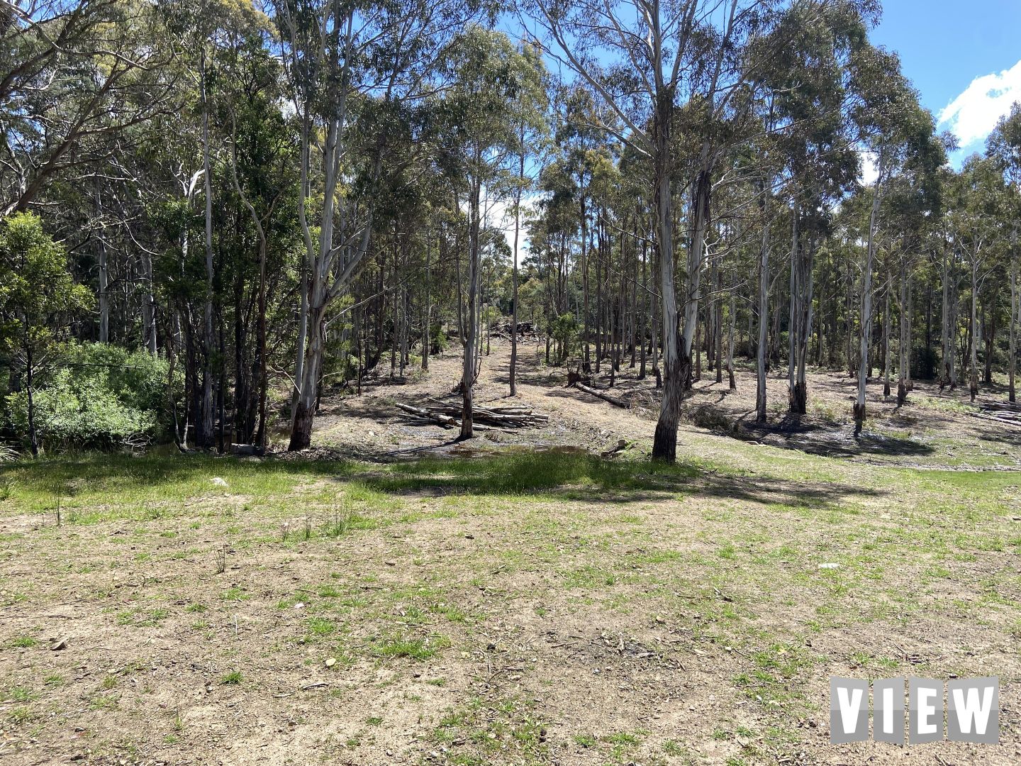 PID 2697710 Irishtown Road, St Marys TAS 7215 Domain