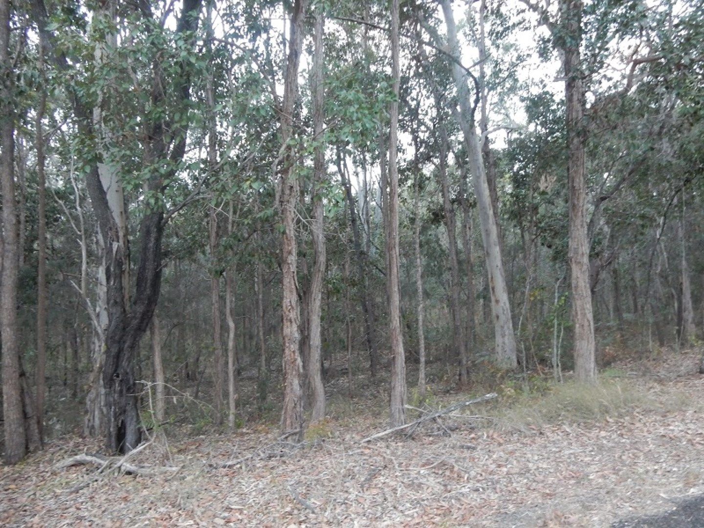 Lot 25 Counter Road, Wolvi QLD 4570, Image 0