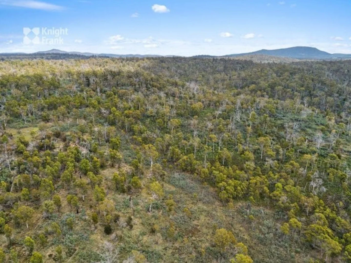 Additional image 7 of 1 Buckland Road, Buckland TAS 7190