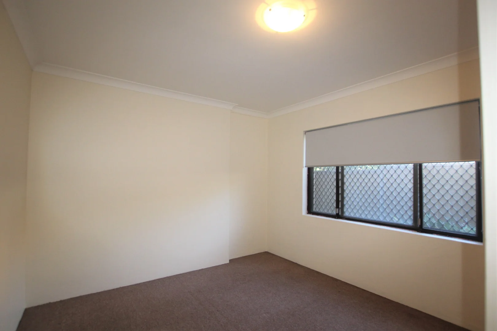 Additional image 5 of 1/25 Sixth Avenue, Campsie NSW 2194