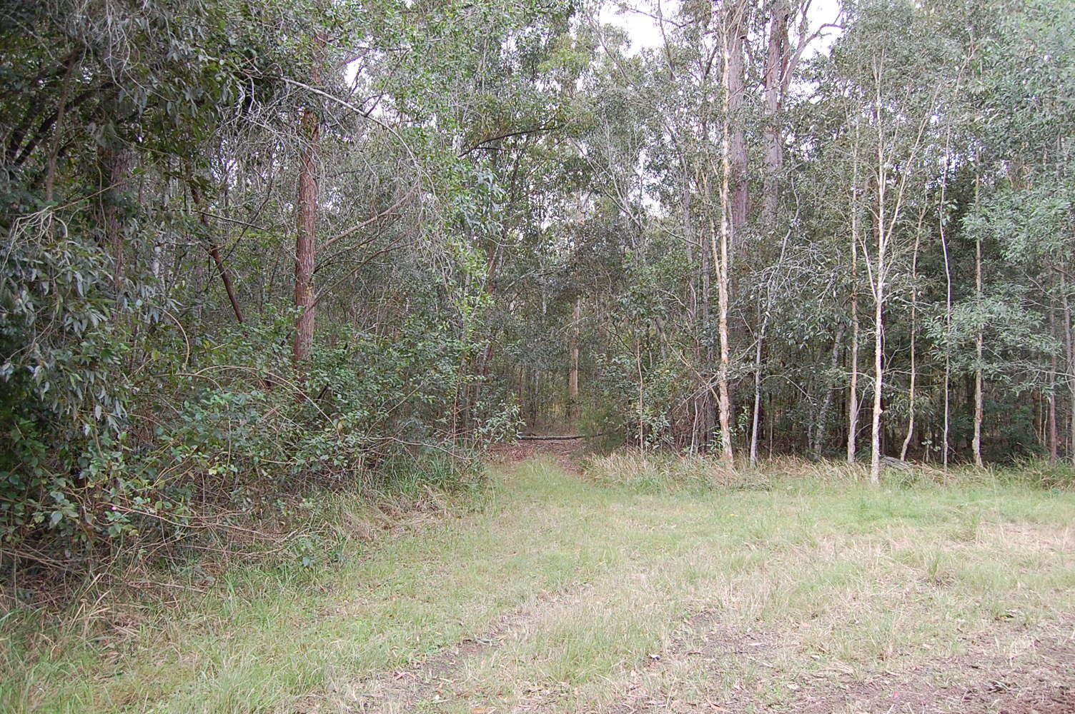 265 Wrench Road, ELLANGOWAN via, Casino NSW 2470, Image 0