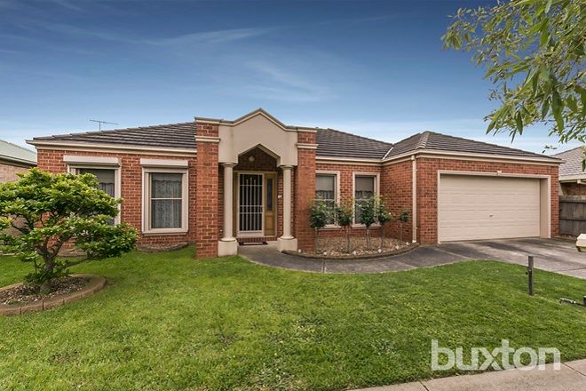 Picture of 21 Homestead Drive, ST ALBANS PARK VIC 3219
