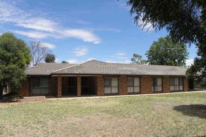 Picture of 16-18 Stewart Street, BERRIGAN NSW 2712