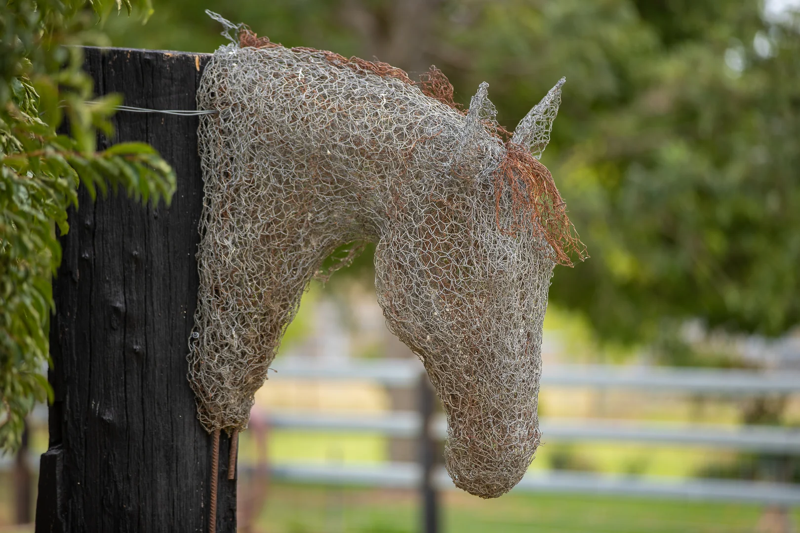 Additional image 20 of 1664 Ogunbil Road, Ogunbil NSW 2340