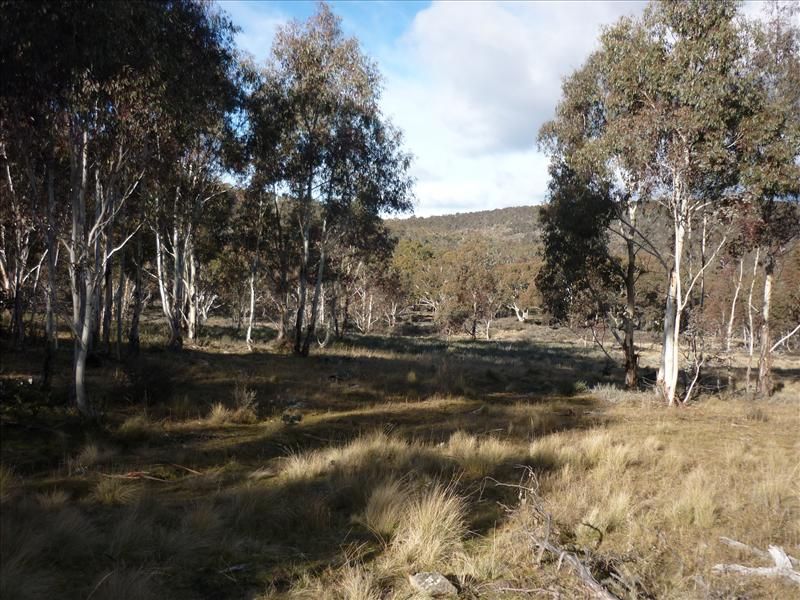 Lot 128 Ashvale Road, Adaminaby NSW 2629, Image 0