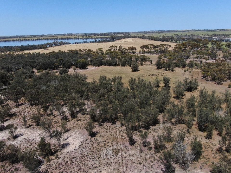 179 Katanning - Nyabing Road, Katanning WA 6317, Image 0