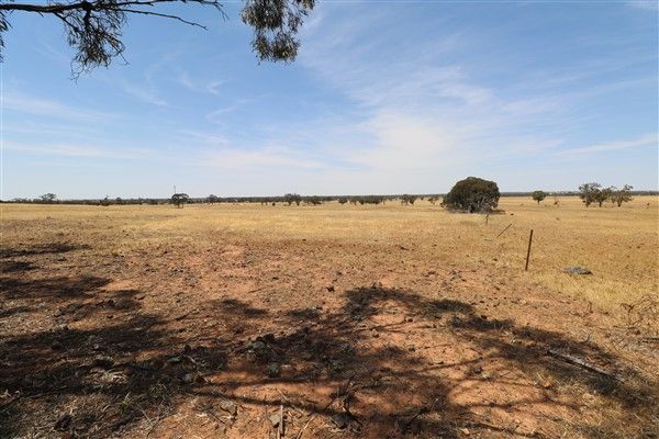 Lot 81 Boort-Wedderburn Road, Korong Vale VIC 3520, Image 0